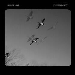 Fleeting Away