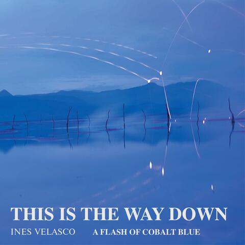 This Is The Way Down