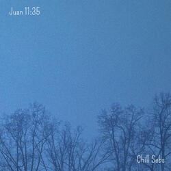 Juan 11:35