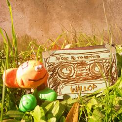 El Sol por la Ventana