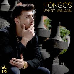 Hongos