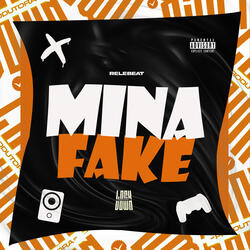 Mina Fake