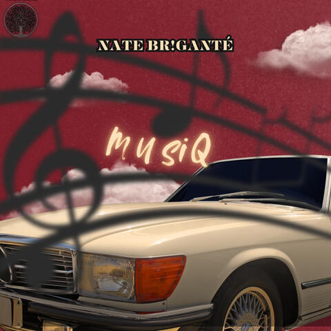 MUSiQ