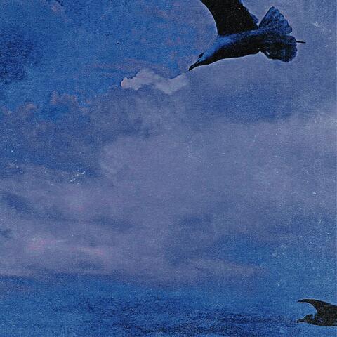 Flight
