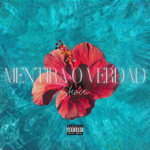 Mentira O Verdad