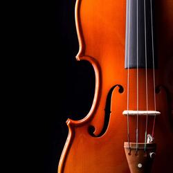 Feline Serenity Through Classical Music