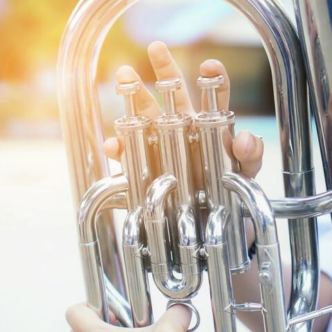 Soft Orchestra Melodies for Pet Comfort