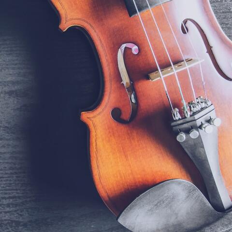 Orchestra of Midnight: Music for Deep Sleep