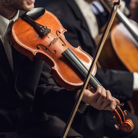 Cats' Night Serenade: Tranquil Orchestra Sounds