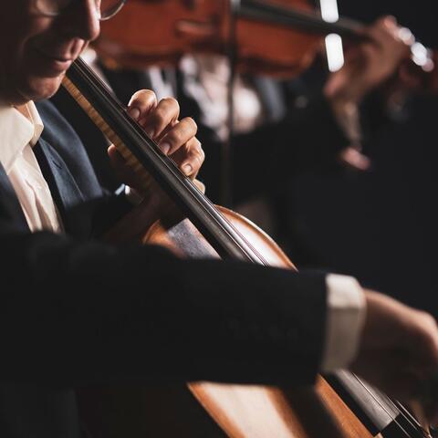 Evening Calm: Orchestra for Meditation