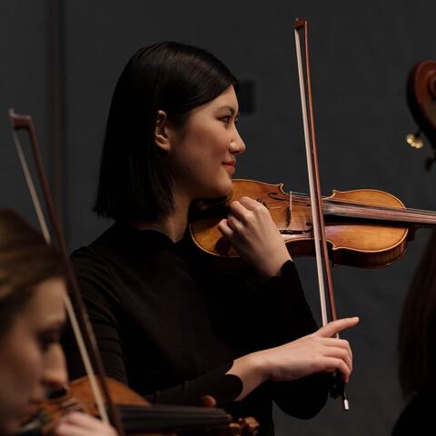 Soft Symphony: Orchestra for Peaceful Evenings
