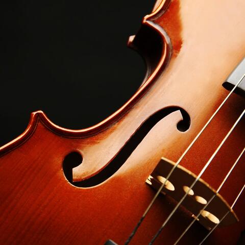 Relaxing Orchestra Melodies for Dog's Peace