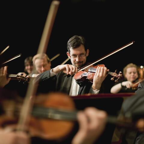 Calm of the Night: Orchestra for Sleep