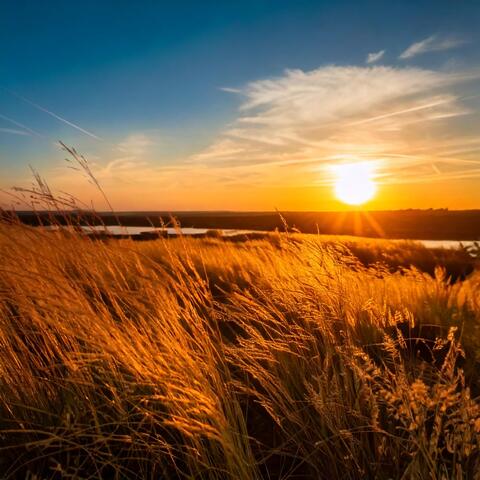 Soft Evening Sounds for Peace
