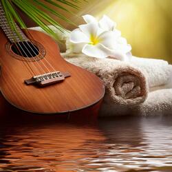 Acoustic Comfort Flow