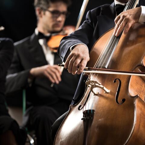 Orchestra for Deep Sleep: Tranquil Sounds