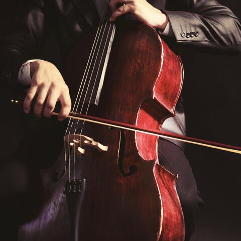 Quiet Relaxation: Orchestra Sounds