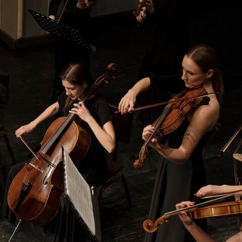 Evening Symphony: Relaxing Orchestra for Sleep