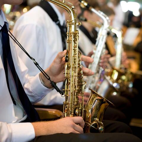 Tranquil Orchestra: Meditation Symphonies