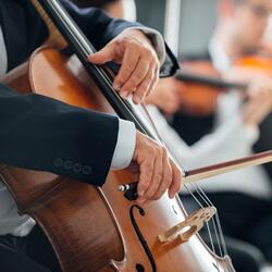 Gentle Symphony Calms Mind