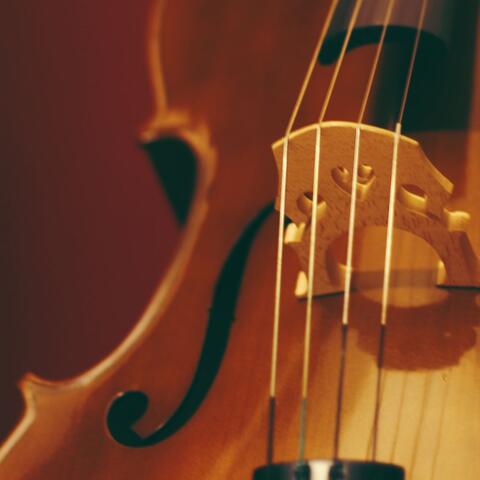 Relaxing Orchestra: Music for Meditation Evenings