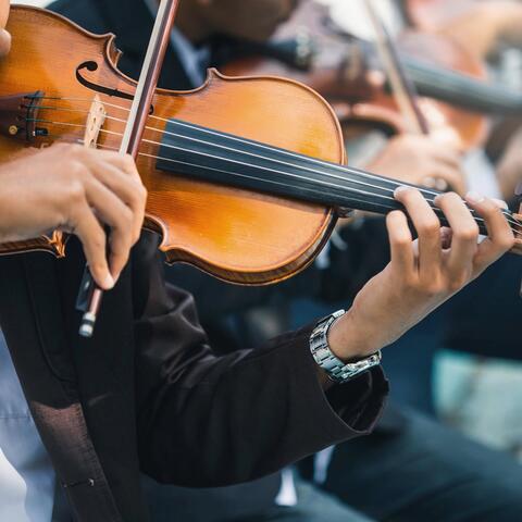 Serenity Orchestra: Music for Relaxation