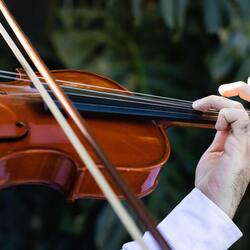 Moods Shift with Harmony