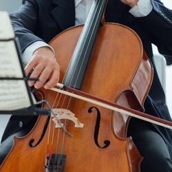 Soft Strings Sing to Dusk