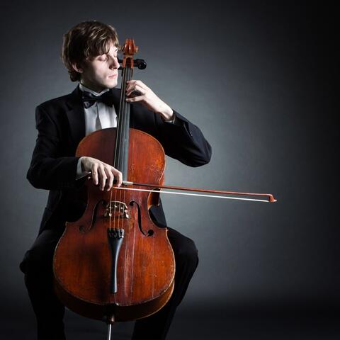 Spa Ambiance: Orchestra of Peace