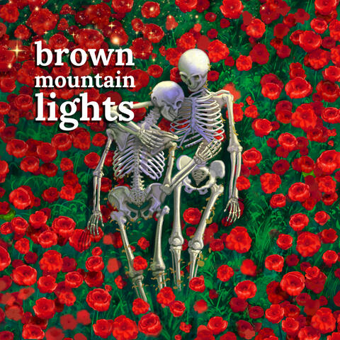 brown mountain lights