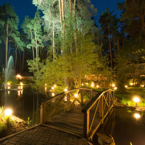 Enchanted Melodies: Piano Serenades in Twilight