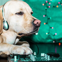 Whispers Ambient Music Melodies