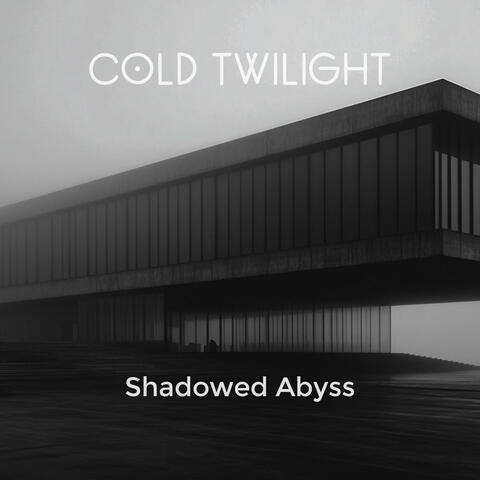 Shadowed Abyss