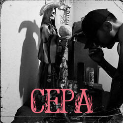 Cepa