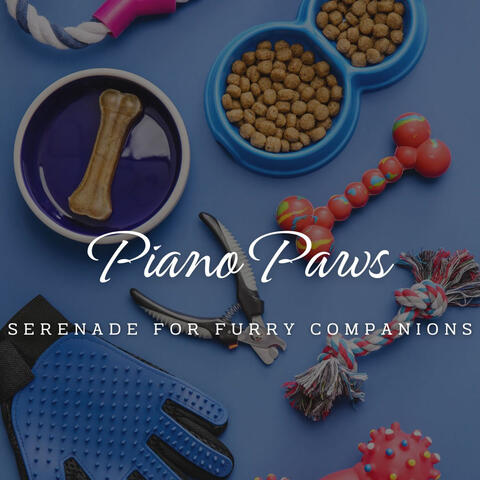Piano Paws: Harmonic Nature for Pets