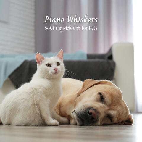 Piano Whiskers: Soothing Melodies for Pets