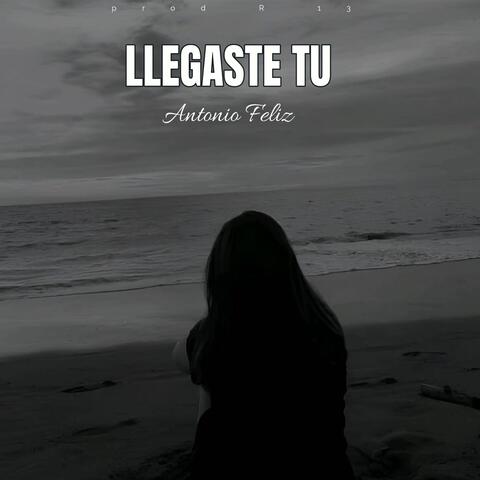 LLEGASTE TU