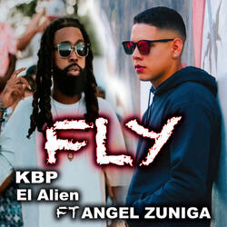 Fly