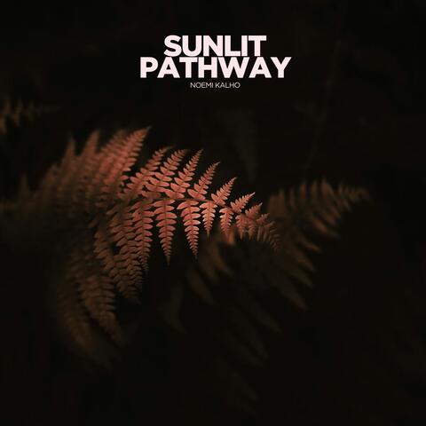 Sunlit Pathway