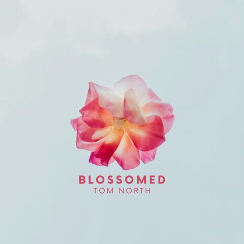 Blossomed
