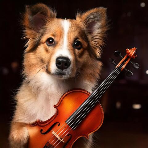 Dogs' Orchestra: Relaxing Canine Harmonies