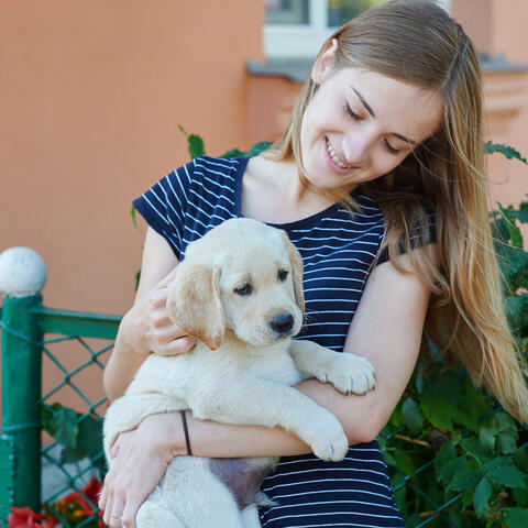 Pet Haven Echoes: Jazz Piano for Fur Babies
