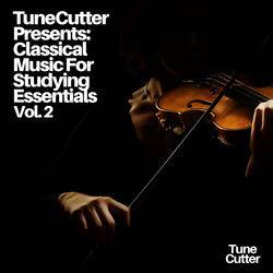 Invention No 14 in B Major (Instrumental Version) [Originally Composed by Bach]