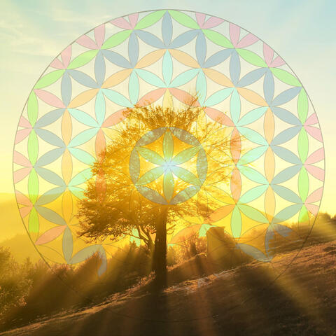 Being Present