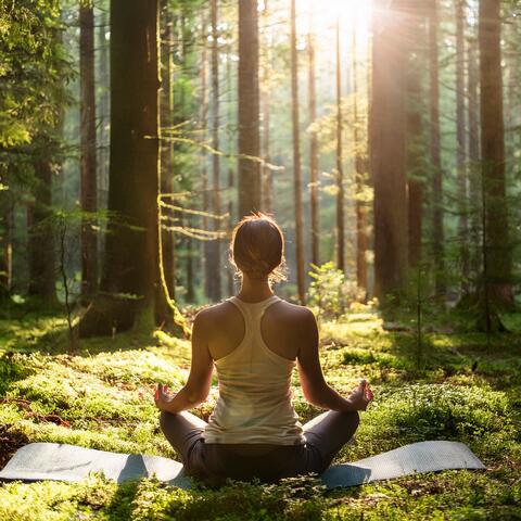 Melodías Suaves Para Momentos De Meditación Tranquila