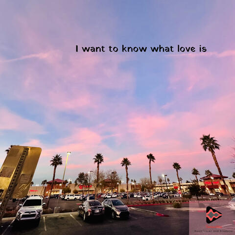I want to know what love is