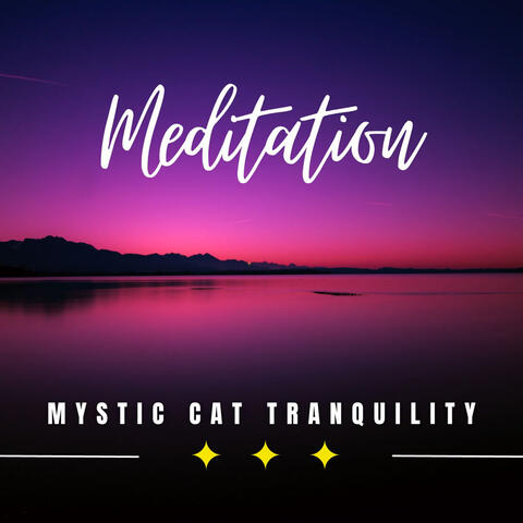 Mystic Cat Tranquility: Finding Peace in Calm