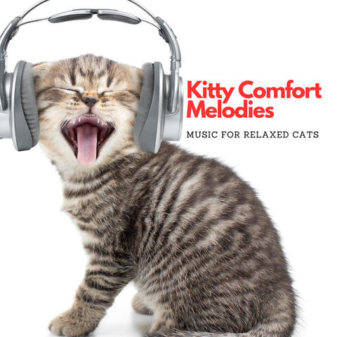 Kitty Comfort Melodies: Music For Relaxed Cats