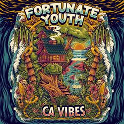 CA Vibes