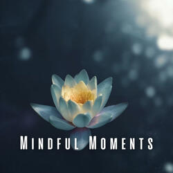 Ambient Soundscapes for Deep Meditation